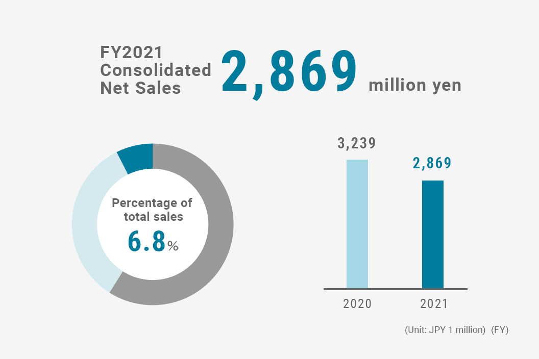 Consolidated Net Sales of Coating Systems