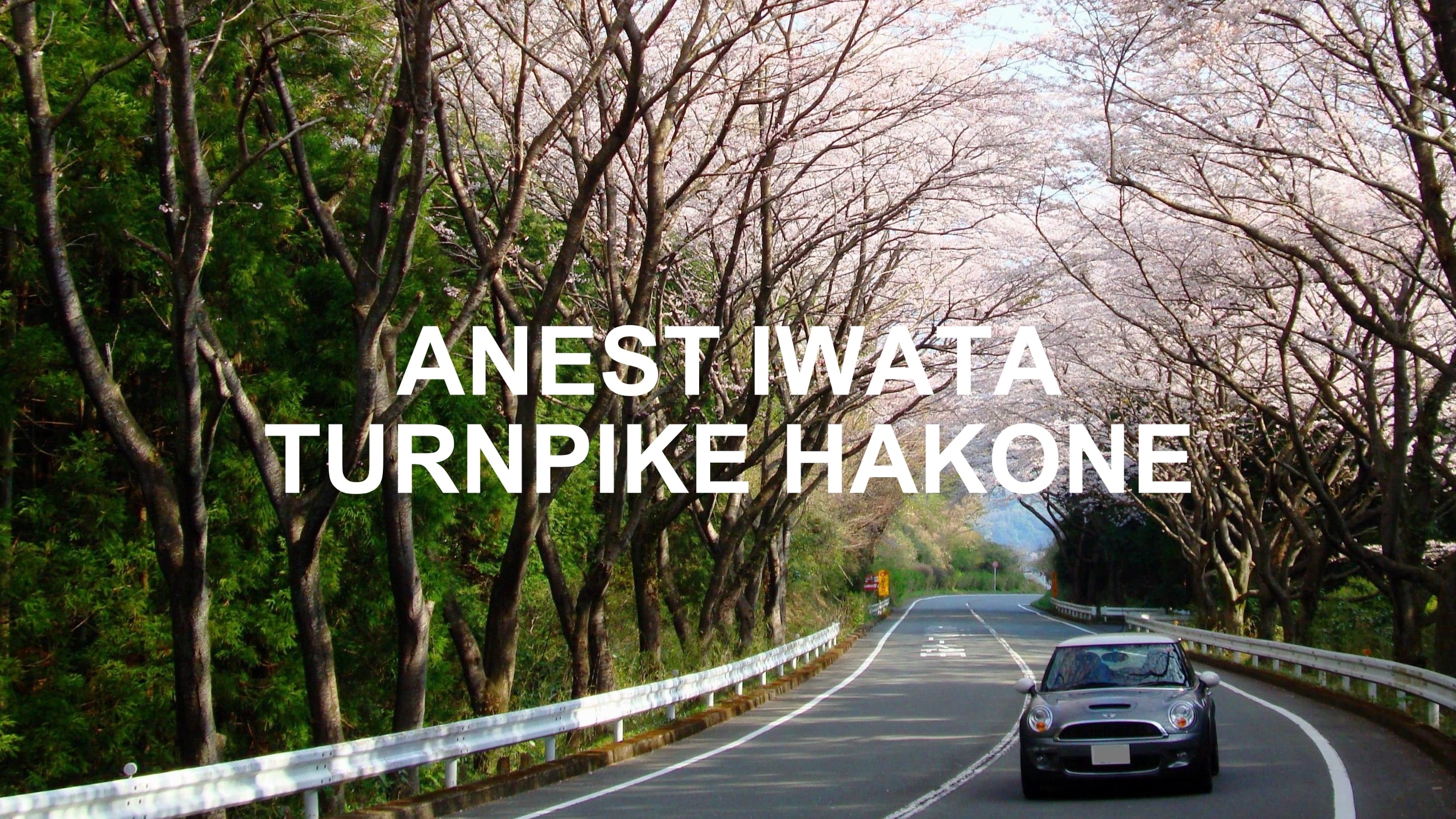 ANEST IWATA TURNPIKE HAKONE